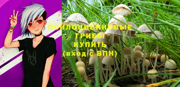 крисы Костерёво