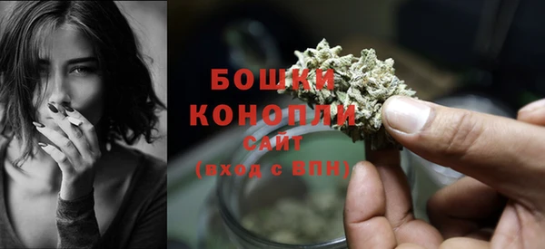 крисы Костерёво