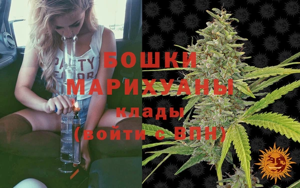 крисы Костерёво