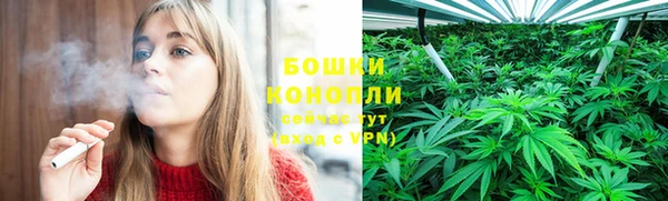 крисы Костерёво