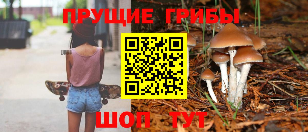 Галлюциногенные грибы прущие грибы  Галлюциногенные грибы Magic Shrooms  где купить наркоту  Невинномысск  Вход с VPN 